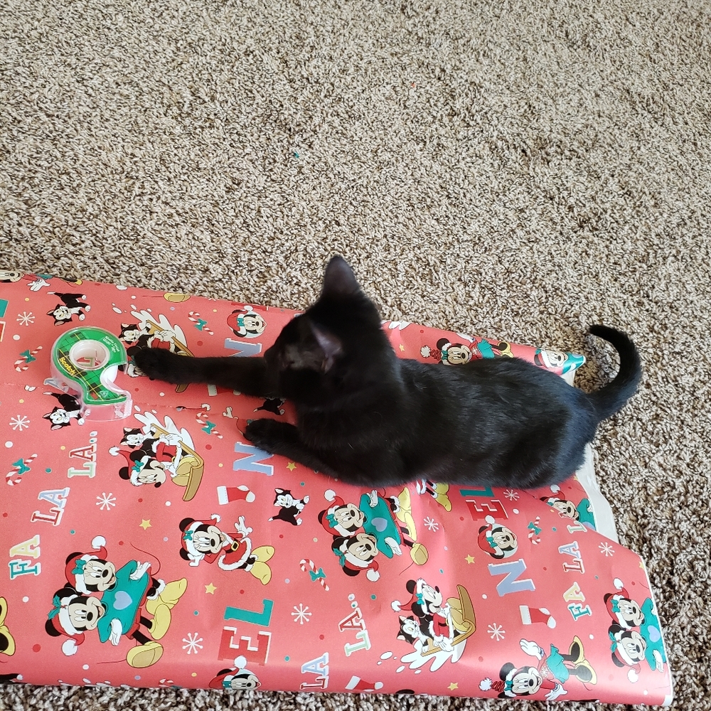 Love ❤️ Notes - Picture 14 of 16